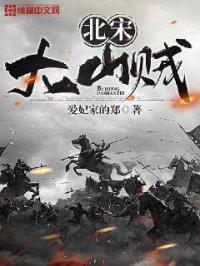 北宋大案