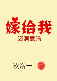 嫁给我好吗dj