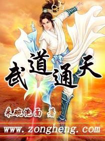武道通天录 文道丹心录