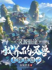 灵源仙途我养的灵兽太懂感恩了笔趣阁